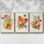 Antique Floral Bouquet I, ensemble de 3 toiles encadrées-97759423-97759424
