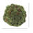 Decorative Sedum Balls-1731351886