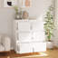Leella 32cm W Chest of Drawers-394016845