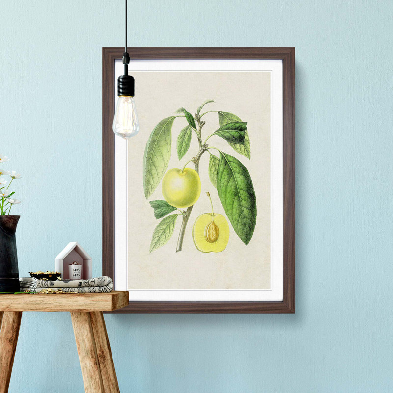 Prune Fruit Illustration - Framed Print, 36cm H x 27cm W x 2cm D, Walnut Framed