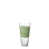Green/Transparent is out of stock