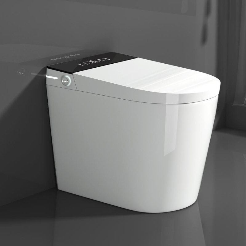 Smart Toilet with Tankless Bidet Wash, Auto Open Lid, Heat Seat, Warm Wash/Dryer, Soft Closing