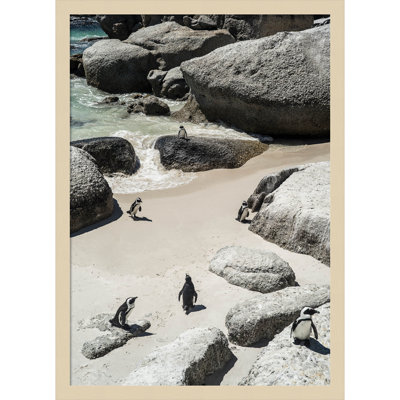 Chilling At the Beach No 2 by Shot by Clint Wood Framed Wall Art Print