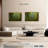 Harnek Mossy Trees-107683402
