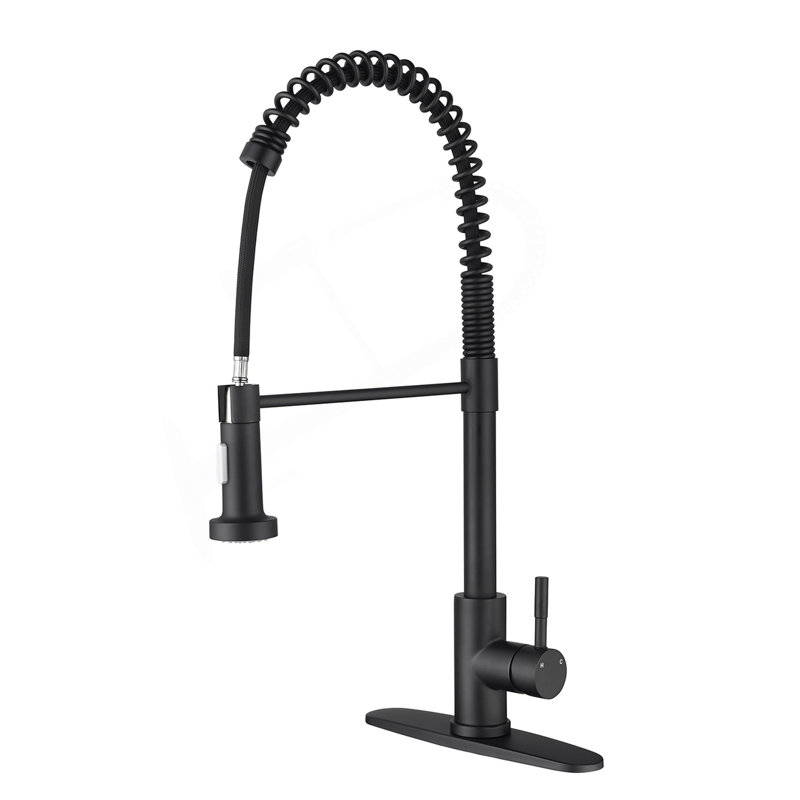 Kitchen Faucet With Pull Out Spraye