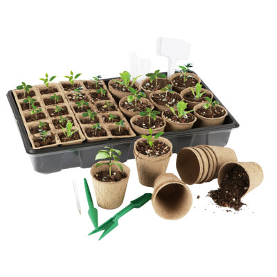 Aelianna Garden Grow Progagtion DIY Kit