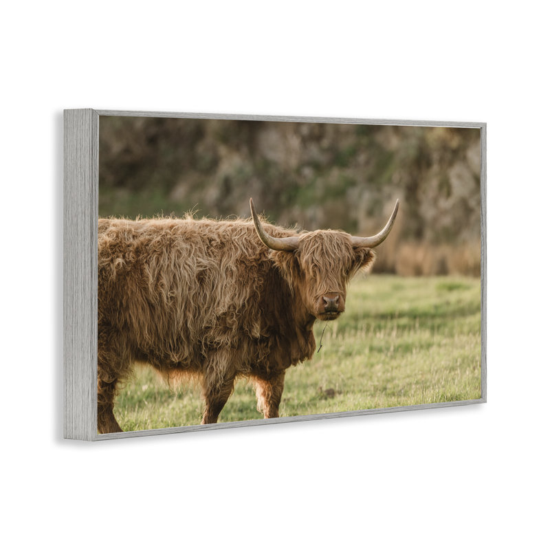 Giclée encadrée, par Crystal Lynn Collins, Estampe numérique Farmhouse, H 12 po x l 18 po
