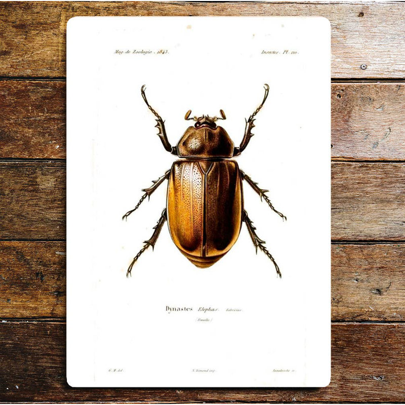 0859 Handmade Wall Decor on Metal, 20cm H x 15cm W