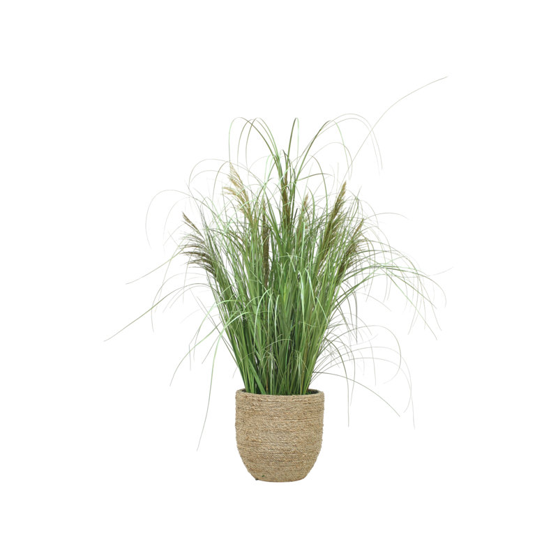 Mixed Grasses.Preserved Reeds in Rope Planter