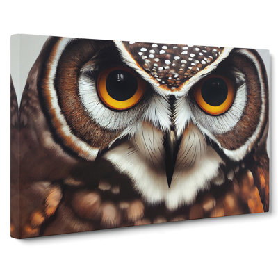 Unimaginable Owl - Wrapped Canvas
