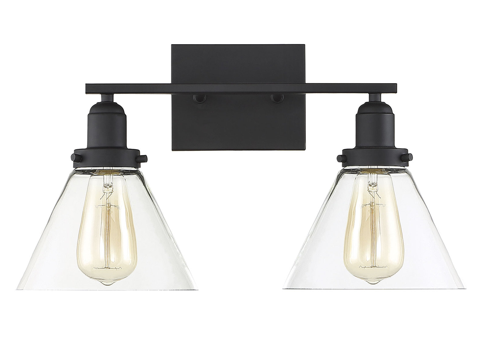 Catalina 2 Light Transparent Dimmable Bath Sconce, Black
