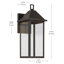 Applique murale d'extérieur 16,75 "avec verre transparent DarkSky 16,75"-115680842-115680843