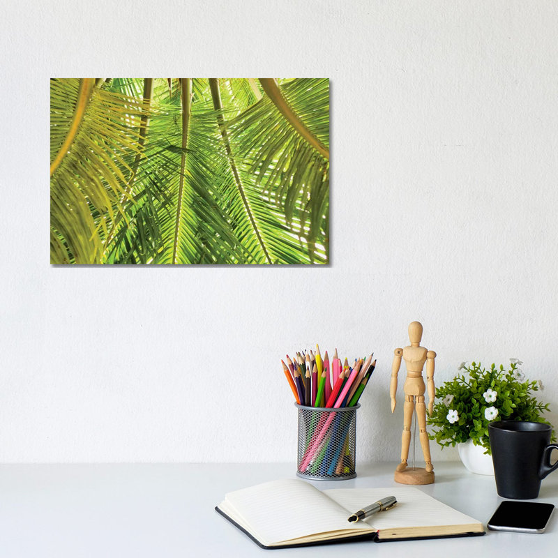 Green Palm Fronds 1 Piece Wall Art on Canvas, 20.32cm H x 30.48cm W x 1.91cm D, Wrapped Canvas