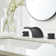 Widespread 2-handle Bathroom Faucet with Drain Assembly