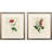 Cheryl I Framed Art
