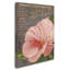 «Peach Hibiscus» par Jadaya, impression sur toile tendue-20094853