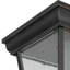Lanterne de plafond d'extérieur 1 lumière en noir impérial