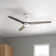 Vansickle 56'' Ceiling Fan with LED Lights