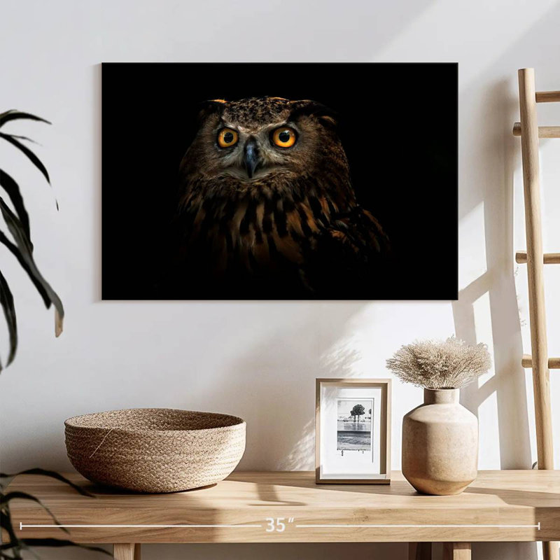 Brampt Owl Expression, 16" H x 24" W
