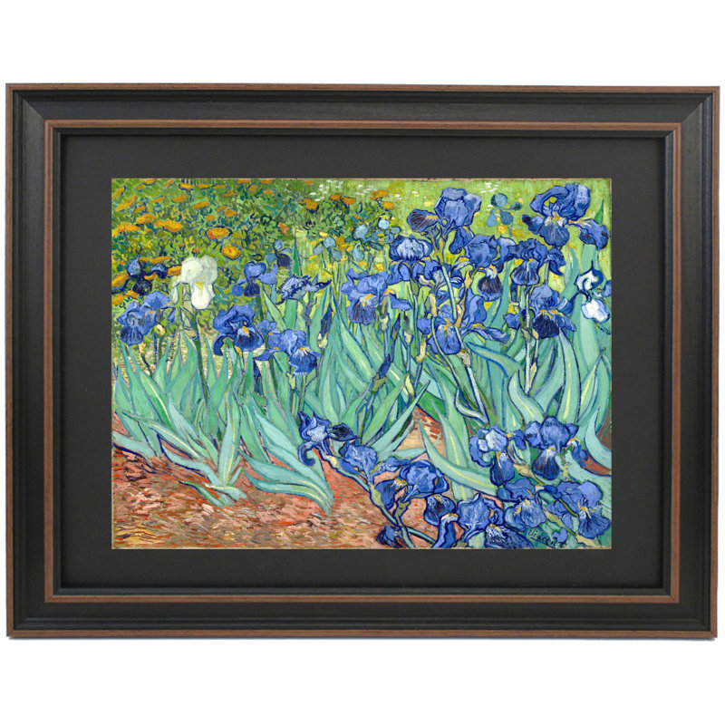 Irises By Vincent Van Gogh, 19.5" H x 24" W