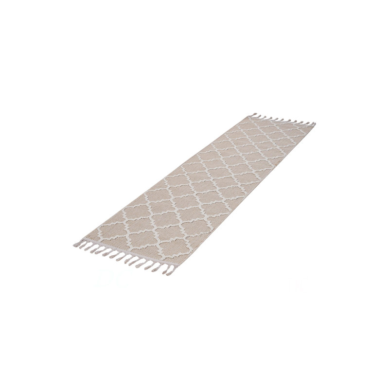 Collection 2X8 Trellis Indoor/Outdoor Area Rug, Runner 2'2" x 8'