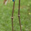 Statue de jardin 2 pièces