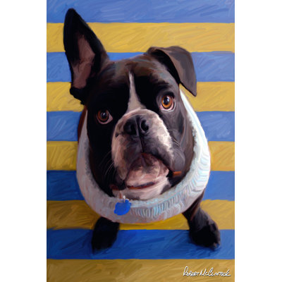 Frenchie Beau 1 Piece Wrapped Canvas Painting