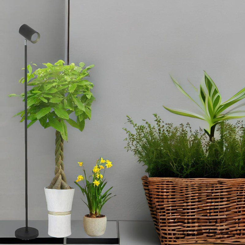 Iuza 75'' LED Task Floor Lamp
