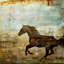 Prairie II Print by Chelsea Art Studio-26705974-26705972