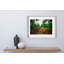 Coconut Dream Print by Joseph Regan-66911129-66911130