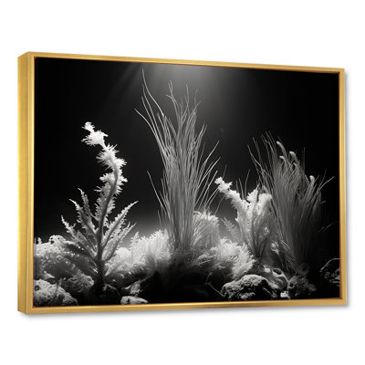 " Black And White Underwater Silent Flow I "