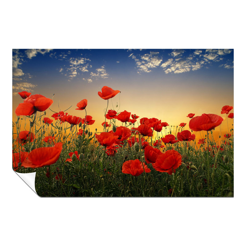 Red Roses On A Summer'S Dawn - No Frame Print, 20cm H x 31cm W