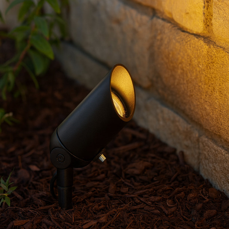 Hinkley Landscape Accent Spot Light 120V, Black