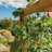 8 ft. w x 12 ft. D Cedar Garden in a Box with Deer Fence-97863780