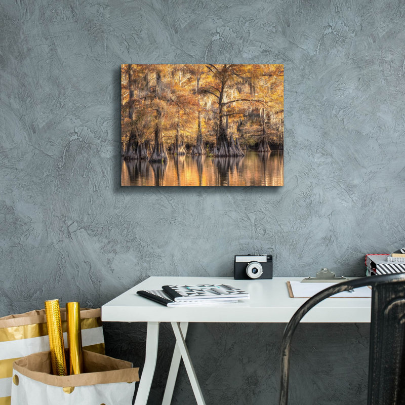  «Bayou Light 1» par Danny Head, art mural sur toile, 16 po x 12 po, H 12 po x l 16 po