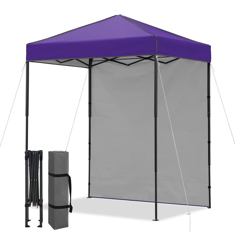 6x4 Canopy Tent, Heavy Duty Pop up Canopy with Sidewall, Purple