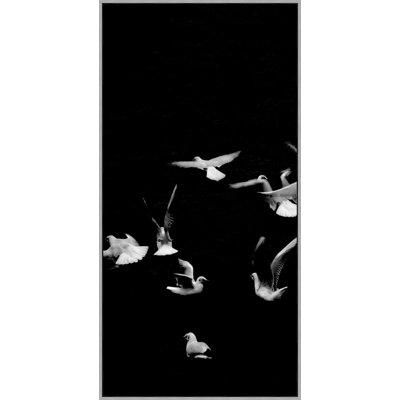 «Fly Together 1» par Thom Filicia - Photographie sur toile à cadre flottant