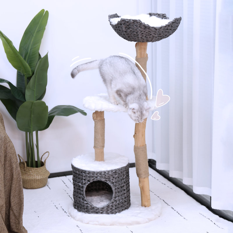 Arbre à chat Duriye