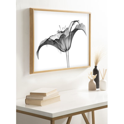 Lily X Ray Floral BW by The Creative Bunch Studio Framed Glass Wall Art