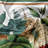 Floral Tailored Kitchen Curtain-96814381