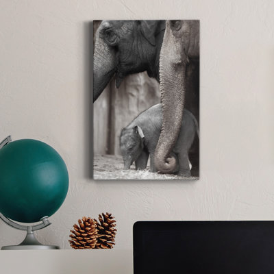 " Family Moment "