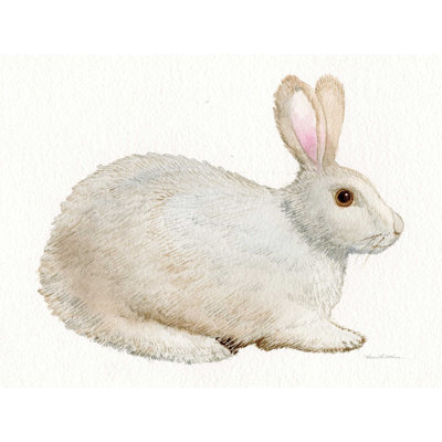 " Spring Bunny IV White " by Kathleen Parr McKenna