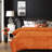 Faux Fur Throw-1723303847-1702137833