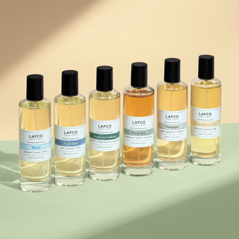 House and Home Odor Removing Room Mist, Champagne