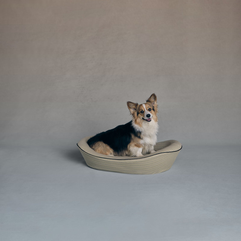  Lit orthopédique pour chien - housse en coton, pinson et silex, Petit (H 6 po x l 21 po x P 29 po)