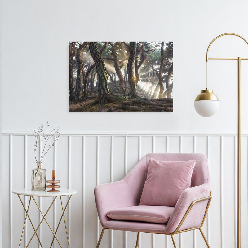 Forêt brumeuse, rayons du soleil, paysage forestier éthéré, paisible et serein - Affiche murale, H 24 po x l 36 po