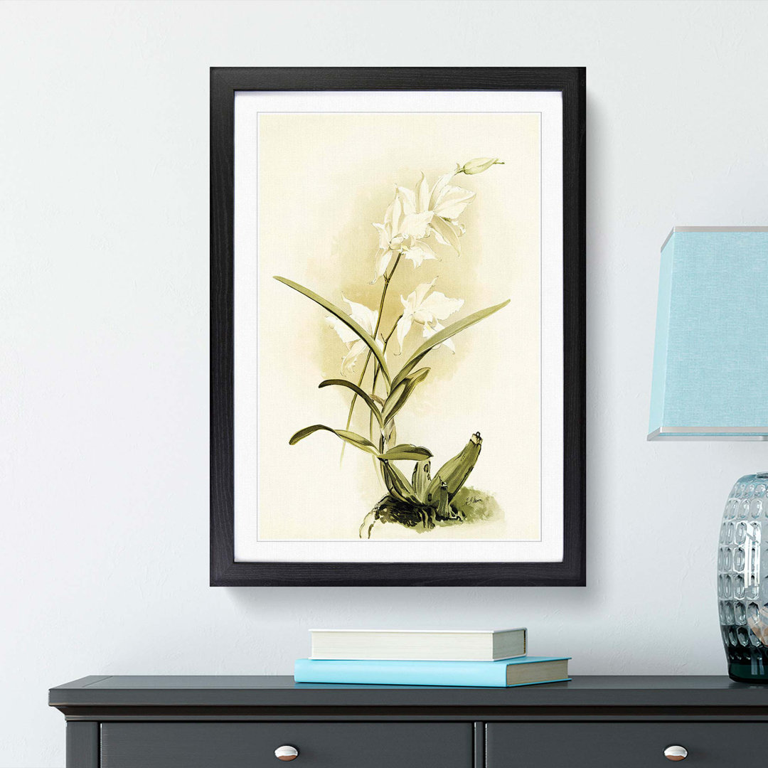 Magnolia Flowers Illustration Tab. 87 by Frederick Sander - Picture Frame Painting Print