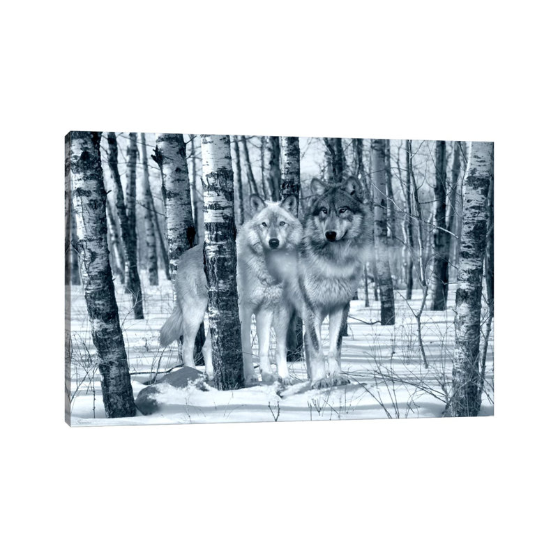 Snow Shadows Silvertones by Gordon Semmens - Wrapped Canvas Print, 101.6 cm H x 66.04 cm W x 1.91 cm D