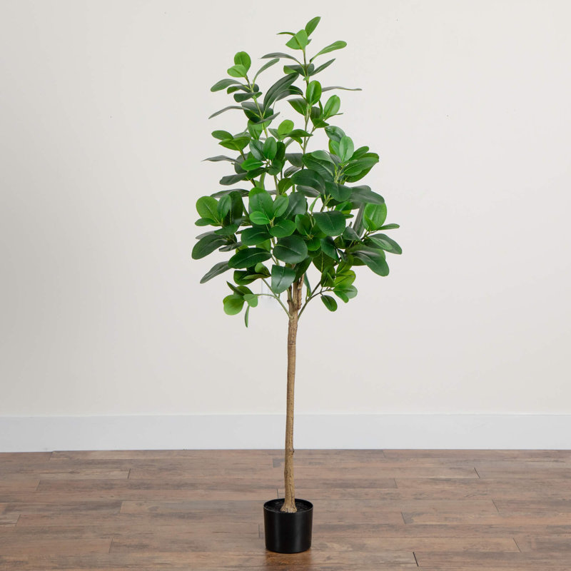7 pi Ficus Audrey artificiel, H 60 po x l 24 po x P 6 po