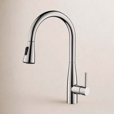 Bari-T Pull-Down Faucet with Accessories
